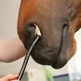 Atemwegsunterschung-3